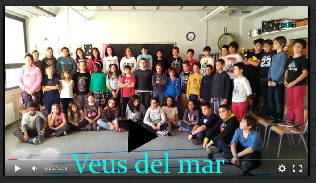 5è primària copia