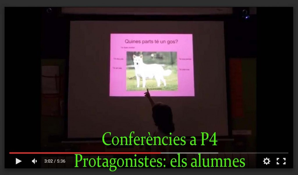 projecte p4 copia