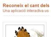 cantors
