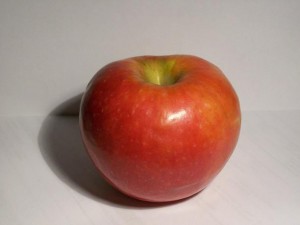 Les aliments
