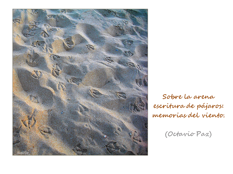 haiku-octavio-paz