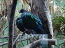 cambiar-tamanozoo1.jpg