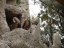 cambiar-tamanozoo8.jpg