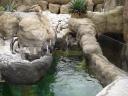zoo24.jpg