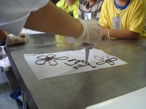 museu4