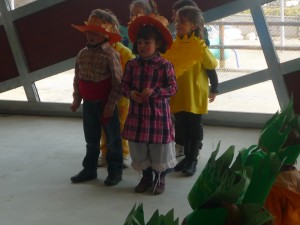 desembre10-marc11-188