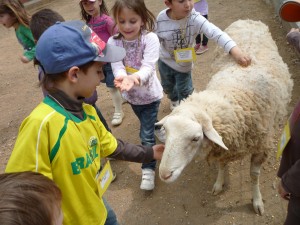 por-clasificar-marzo-abril11-104