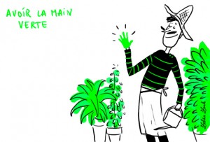 2565_file_avoirlamainverte