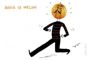 3153_file_avoirlemelon
