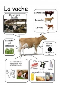f63ef8de1cef475a1104918c365719f4
