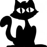 chaton