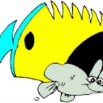 poisson-de-mer