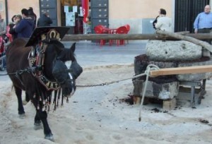 copia-de-fira-oli-09-002