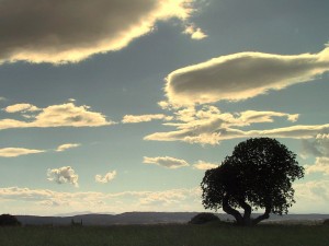 paisatgedel27empordc3a0