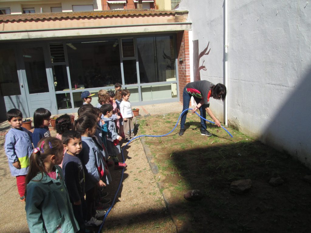 cebes mostra