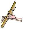 notasflautafacil2.gif