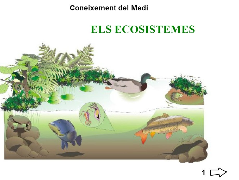 capture-20150530-182729