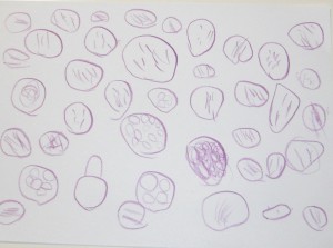 Dibuix dels panellets