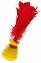 indiaca