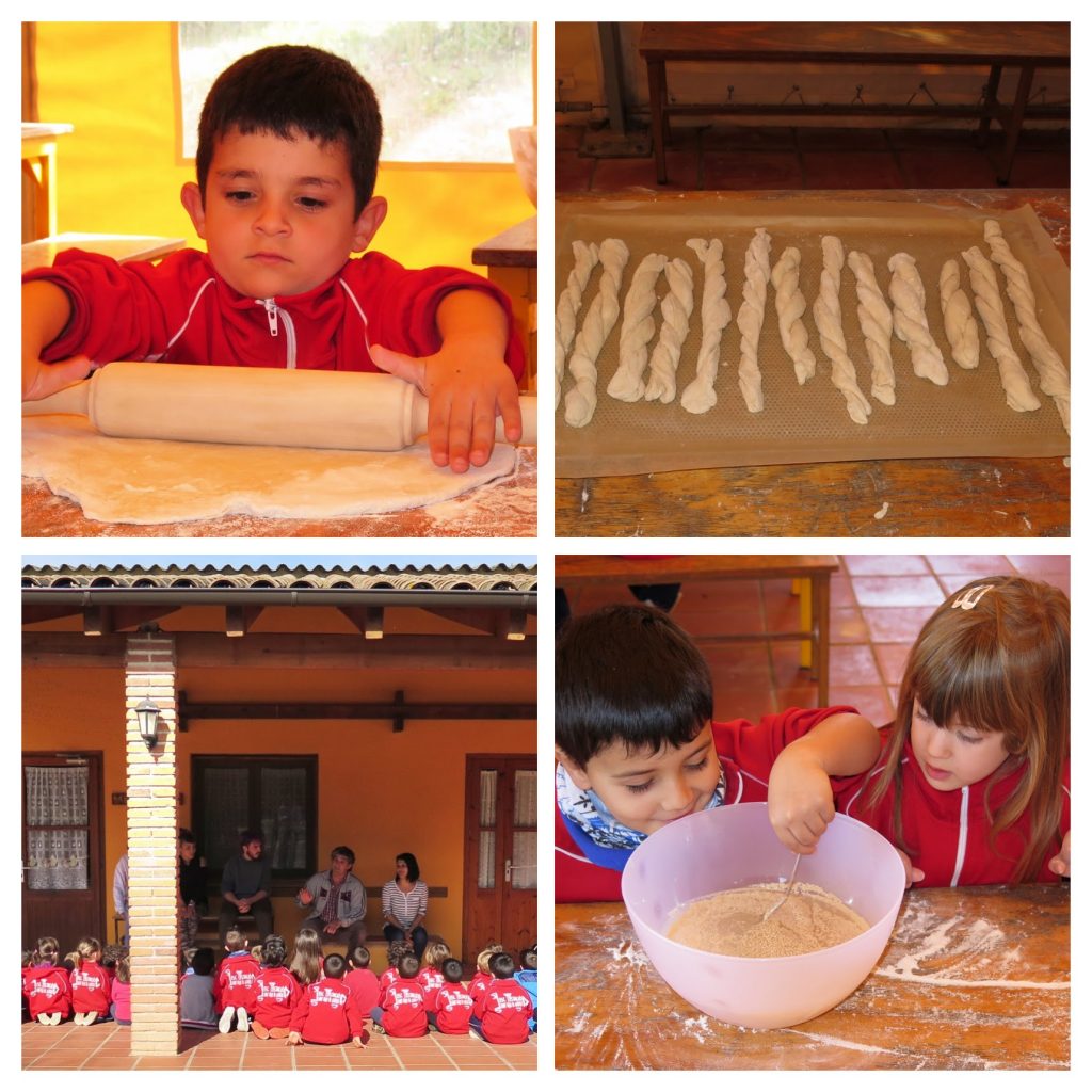 img_1302-1600x1200-collage