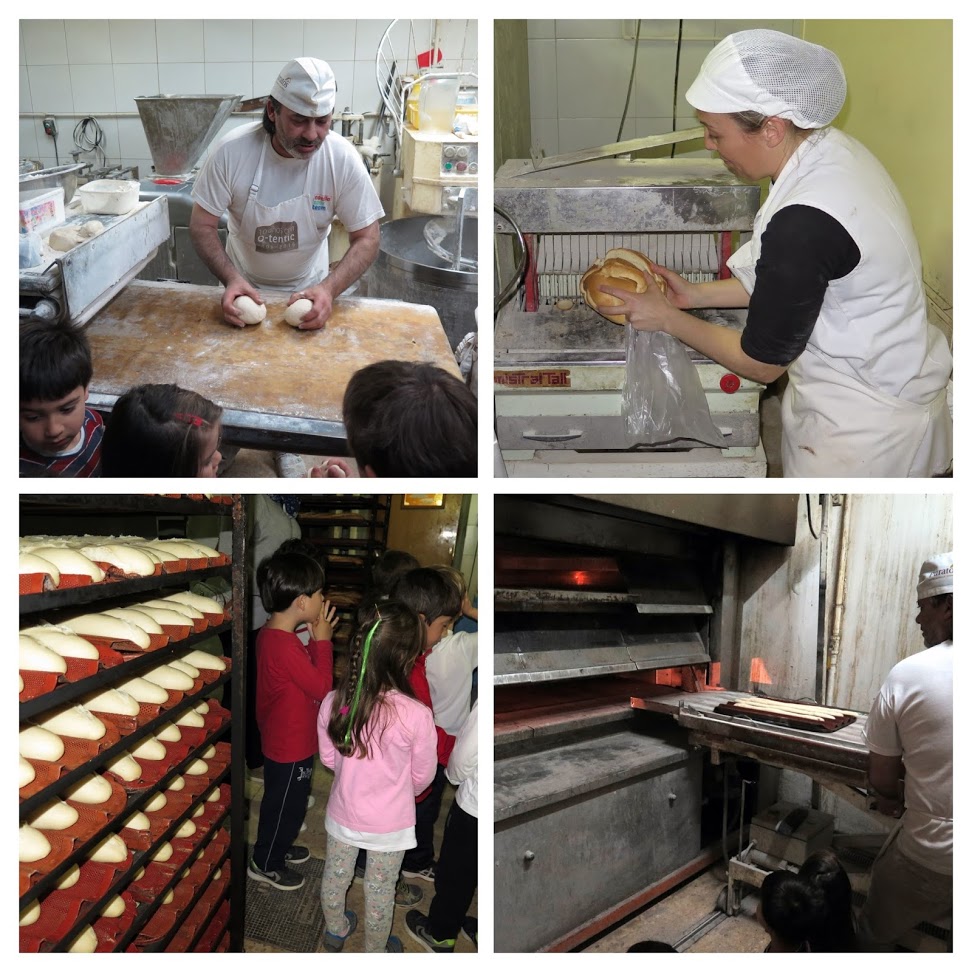 IMG_1916 [1600x1200]-COLLAGE