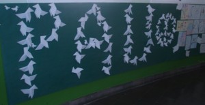 pau2011