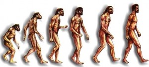 evolucia