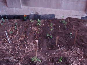 hort30març1