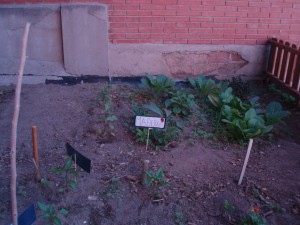 hort8abril01