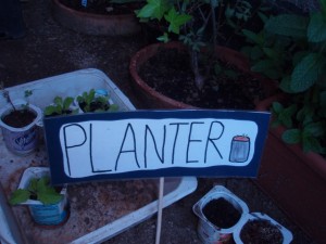 hort8abril03