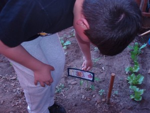 hort8abril05