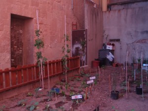 hort8abril11