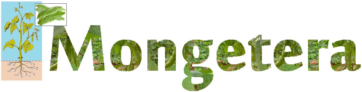 mongetera