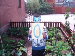 hort6maig01