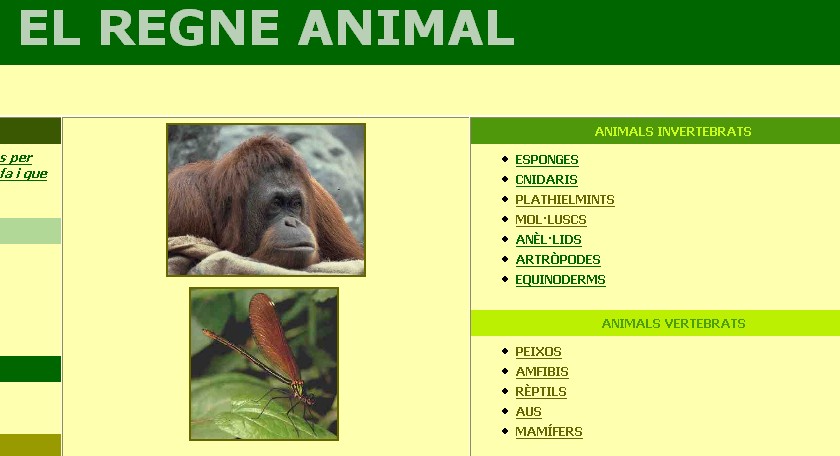 animals.jpg