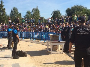 Imatges de l'Ajuntament de Malgrat de Mar