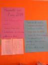 Propòsits per l’any 2009!