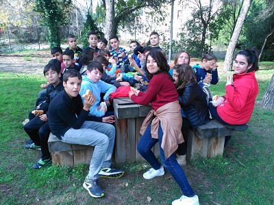 img_20161104_113928_opt