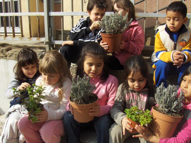 00quantes-plantes.jpg