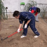 hort2