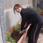 hort3