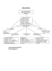 ORGANIGRAMA