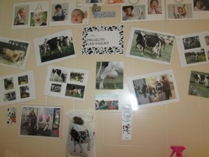 Imagen 015