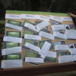 Jardí Botànic 3