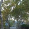 L1130129