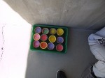 Holi1