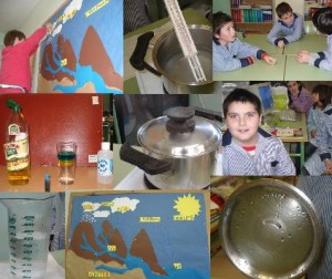 collage1