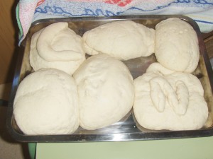 HPIM5345