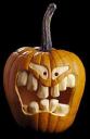 pumpkin_13sfw.jpg