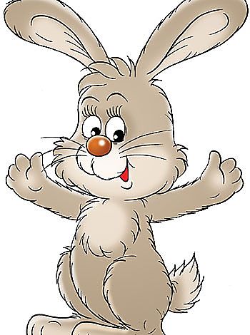 conejo
